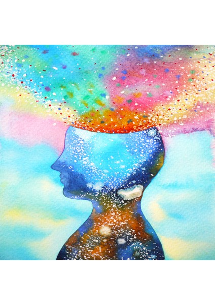 Canvas Renkler ve Düsünce Sayılarla Boyama Seti Kasnaklı