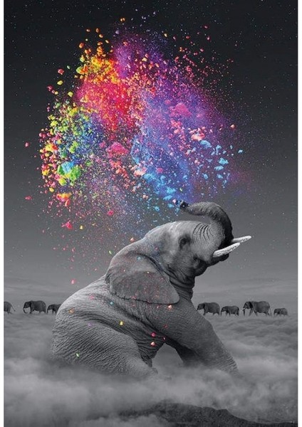 Hobby Renk Yağmuru ve Fil Sayılarla Boyama Seti Rulo