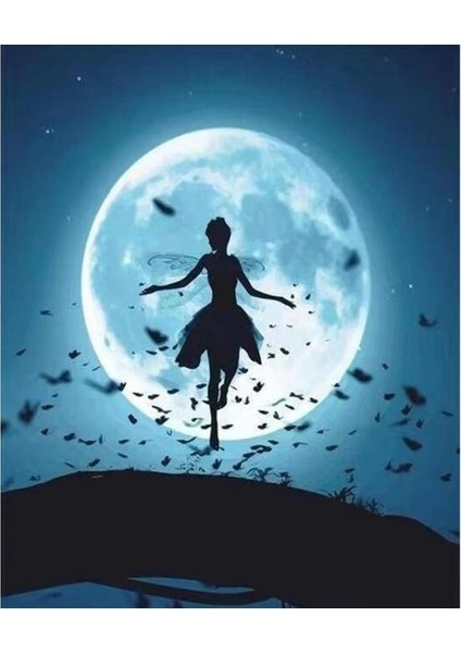 Canvas Peri Masalı Sayılarla Boyama Seti Kasnaklı