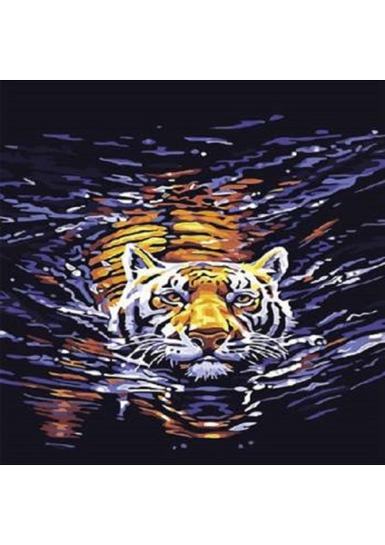 Canvas Yüzen Kaplan Sayılarla Boyama Seti Kasnaklı