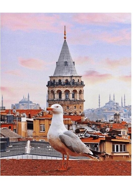 Canvas Galata Kulesi ve Martı Sayılarla Boyama Seti Kasnaklı