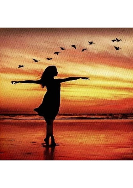 Canvas Martılarla Dans Sayılarla Boyama Seti Kasnaklı