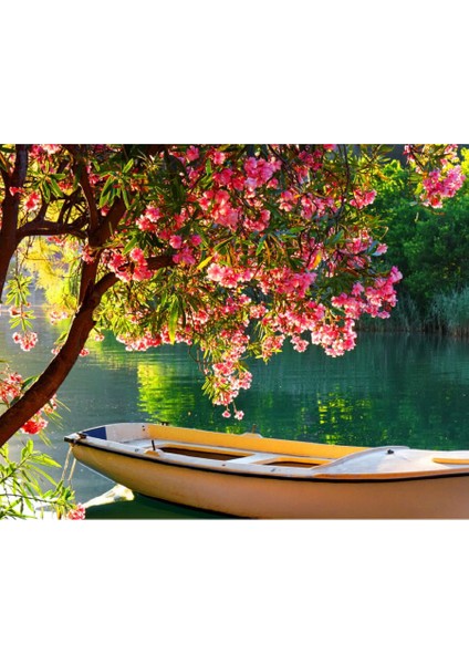 Canvas Göldeki Sandal Sayılarla Boyama Seti Kasnaklı