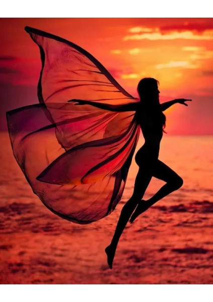 Canvas Sahildeki Kelebek Kadın Sayılarla Boyama Seti Kasnaklı