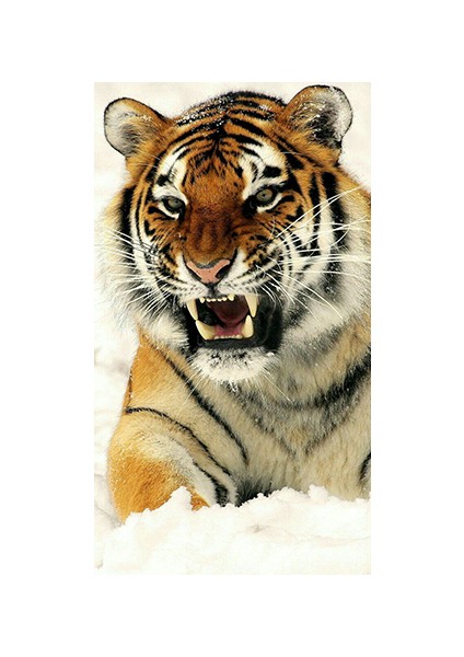 Canvas Kardaki Kaplan Sayılarla Boyama Seti Kasnaklı