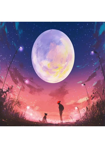 Hobby 2 Dost Sayılarla Boyama Seti Rulo