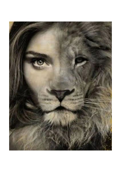 Canvas Aslan Kadın Sayılarla Boyama Seti Kasnaklı