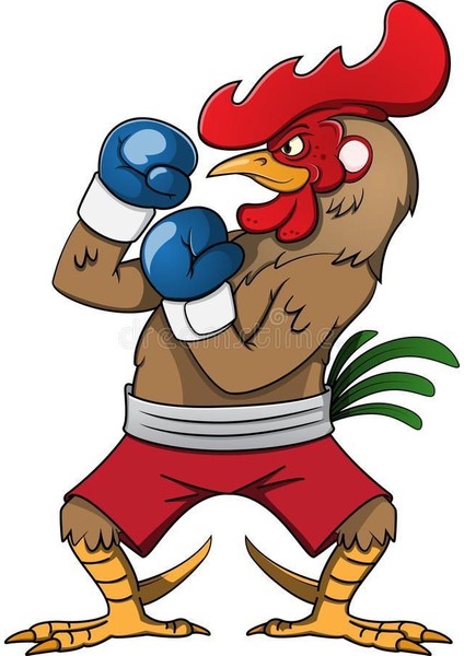 Canvas Bokscu Horoz Sayılarla Boyama Seti Kasnaklı