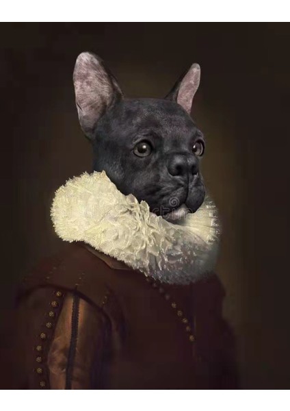 Canvas Asil Köpek Sayılarla Boyama Seti Kasnaklı