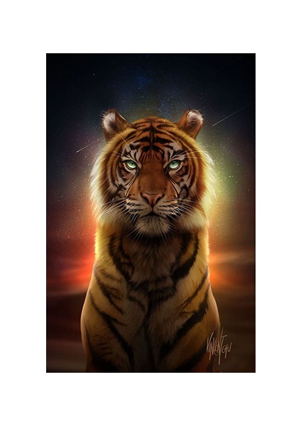 Canvas Ritüel Kaplanı Sayılarla Boyama Seti Kasnaklı