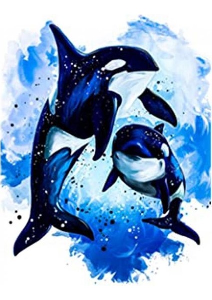 Canvas Mavi Sular ve Orca Sayılarla Boyama Seti Kasnaklı