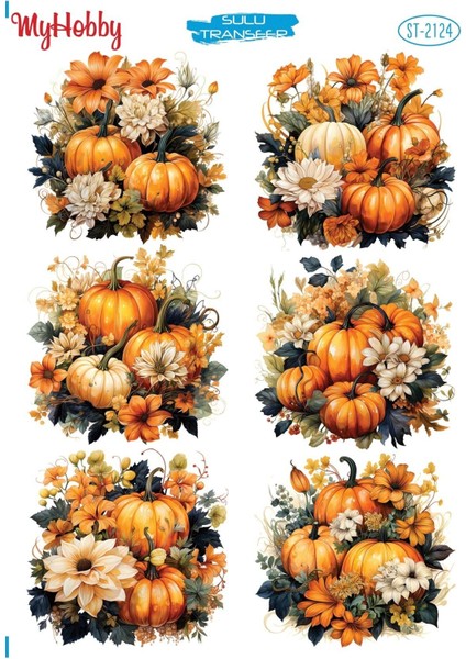 St 2124 Çoklu Balkabağı, Pumpkin, Sulu Transfer 25X35
