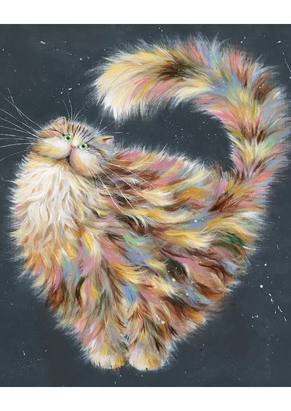 Hobby Şaşkın Kedi Sayılarla Boyama Seti Rulo