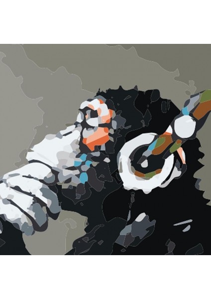 Canvas Maymun Sayılarla Boyama Seti Kasnaklı