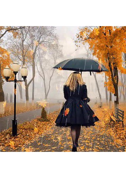 Canvas Sonbahar ve Kadın Sayılarla Boyama Seti Kasnaklı