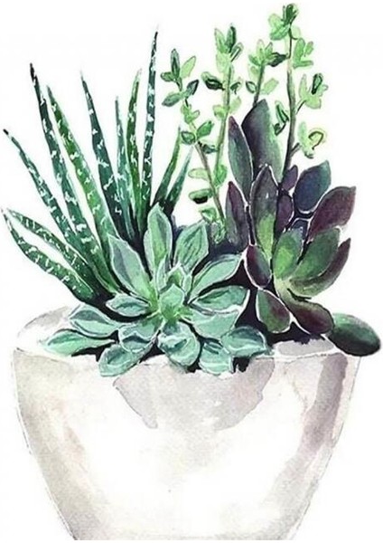 Canvas Saksıdaki Çiçekler Sayılarla Boyama Seti Kasnaklı