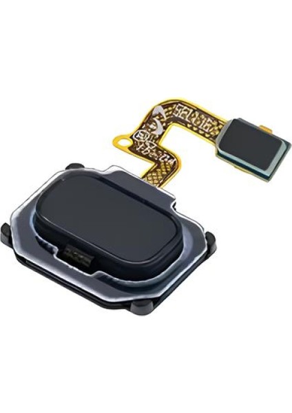 Samsung Galaxy Note 8 - SM-N950 Parmak Izi Okuyucu Flex