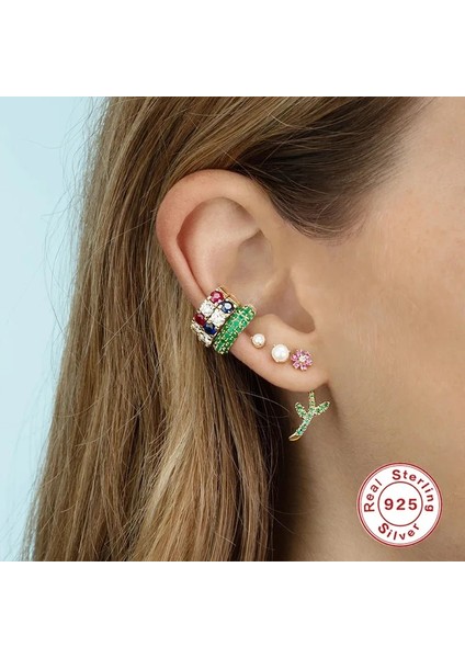 4 1 Adet 100% Terling Gümüş Hiçbir Piercing Sahte Kıkırdak Küpe Kadınlar Için Köpüklü Renkli Zirkon Klipsli Küpe Güzel Jewerly (Yurt Dışından) fırsatları