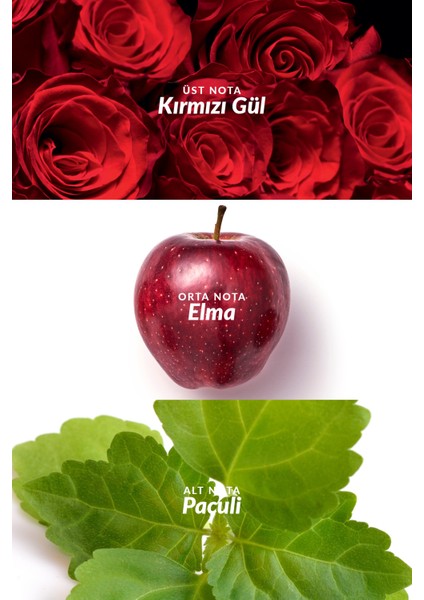 Imari Rouge Kadın Parfüm Edt 50 Ml.