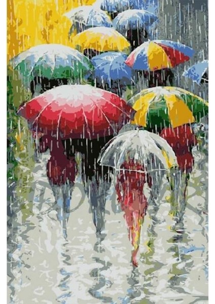 Canvas Yağmur Telası Sayılarla Boyama Seti Kasnaklı