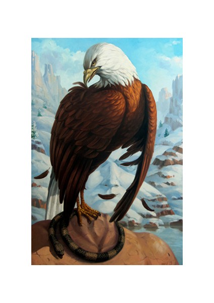 Canvas Kartal Düsüncesi Sayılarla Boyama Seti Kasnaklı