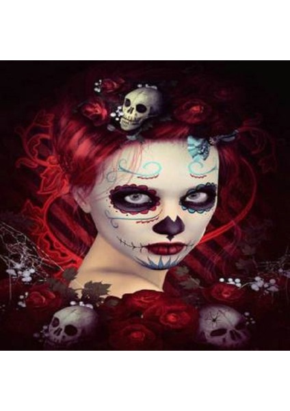 Canvas Kırmızı Kafatası Sayılarla Boyama Seti Kasnaklı