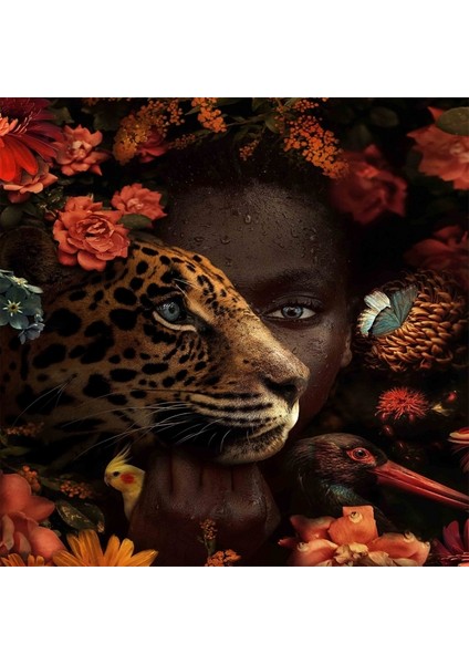 Hobby Afrikali Güzel ve Dostları Sayılarla Boyama Seti Rulo