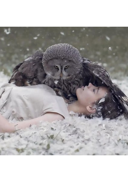 Hobby Baykuş ve Güzel Sayılarla Boyama Seti Rulo