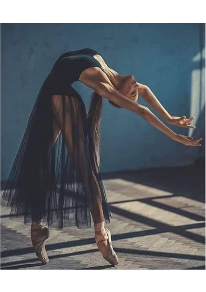 Hobby Siyah Balerin Sayılarla Boyama Seti Rulo