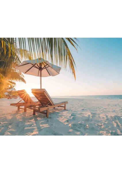 Hobby Tatil Hayatı Sayılarla Boyama Seti Rulo