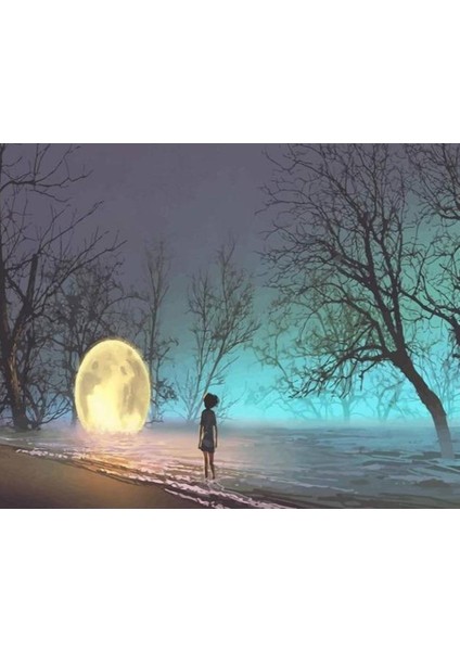 Canvas Gecenin Rengi Sayılarla Boyama Seti Kasnaklı