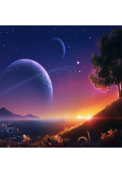 Canvas Gk Kadın Sayılarla Boyama Seti Kasnaklı