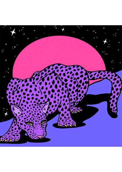 Canvas Uzaydaki Leopar Sayılarla Boyama Seti Kasnaklı