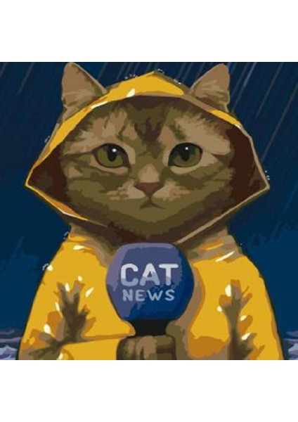 Canvas Muhabir Kedi Sayılarla Boyama Seti Kasnaklı