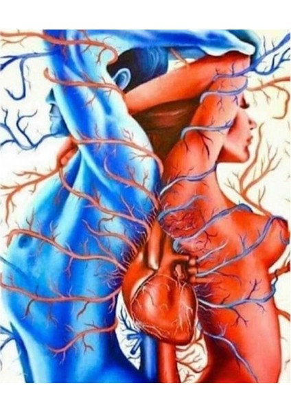 Hobby Derin Bağ Sayılarla Boyama Seti Rulo