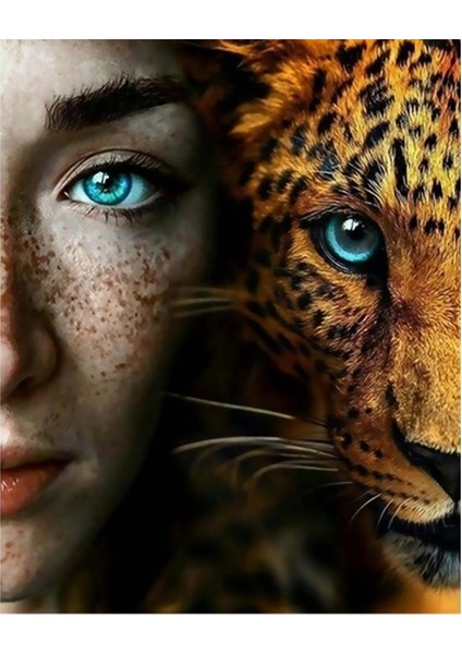 Hobby Mavi Gözler Sayılarla Boyama Seti Rulo