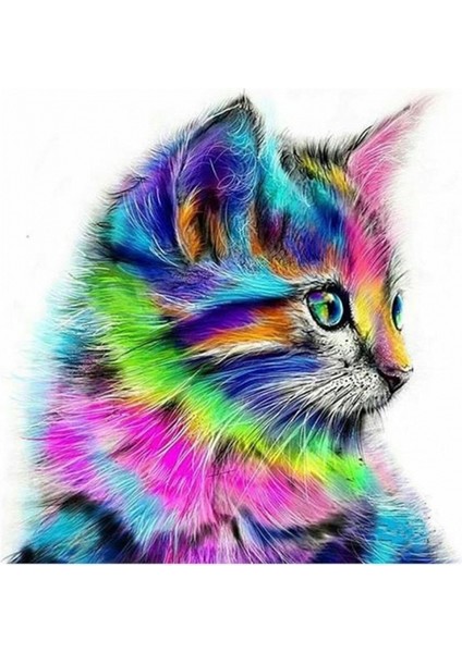 Hobby Renkli Minnoş Sayılarla Boyama Seti Rulo