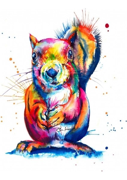 Hobby Sincap Sayılarla Boyama Seti Rulo