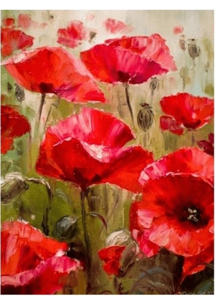 Hobby Gelincik Tarlası Sayılarla Boyama Seti Rulo