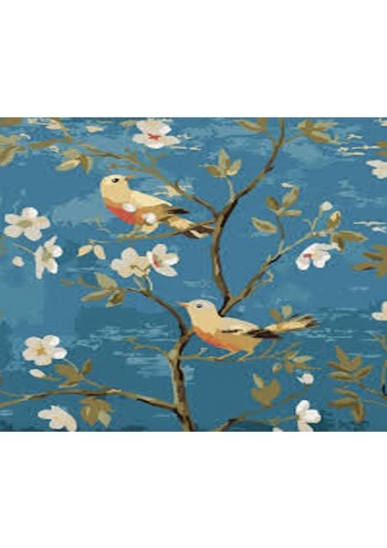 Canvas Daldaki Kuslar 2 Sayılarla Boyama Seti Kasnaklı