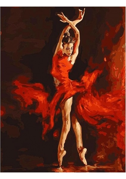 Canvas Askın Rengi ve Tango Sayılarla Boyama Seti Kasnaklı