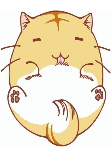 Canvas Keyifli Kedi Sayılarla Boyama Seti Kasnaklı