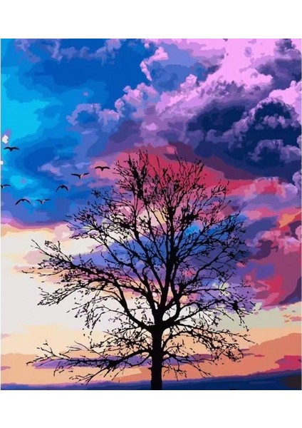 Canvas Mor Bulutlar Sayılarla Boyama Seti Kasnaklı