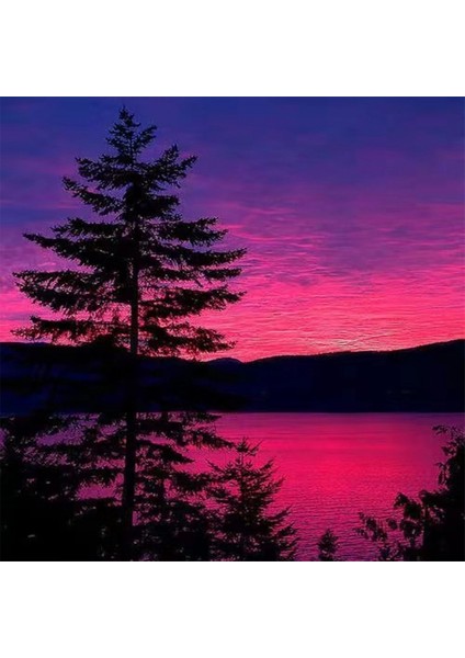 Canvas Yanlız Ağaç Sayılarla Boyama Seti Kasnaklı