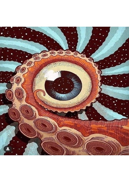 Canvas Göz Sayılarla Boyama Seti Kasnaklı