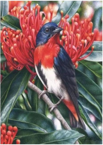 Canvas Kus Yasamı Sayılarla Boyama Seti Kasnaklı