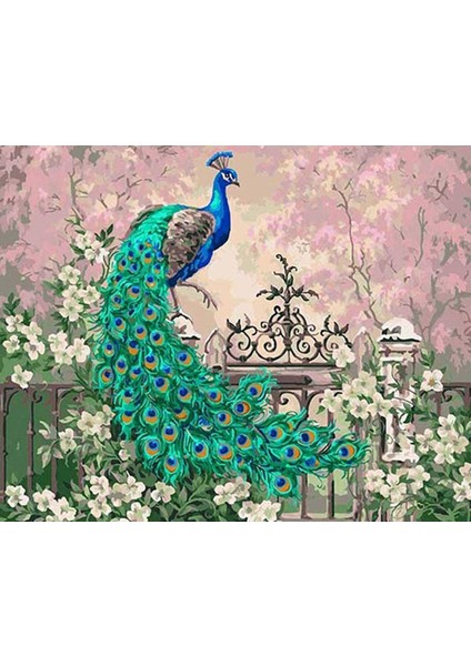 Canvas Renkli Tavuskusu Sayılarla Boyama Seti Kasnaklı