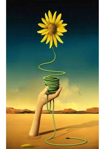 Canvas Arnika Sayılarla Boyama Seti Kasnaklı