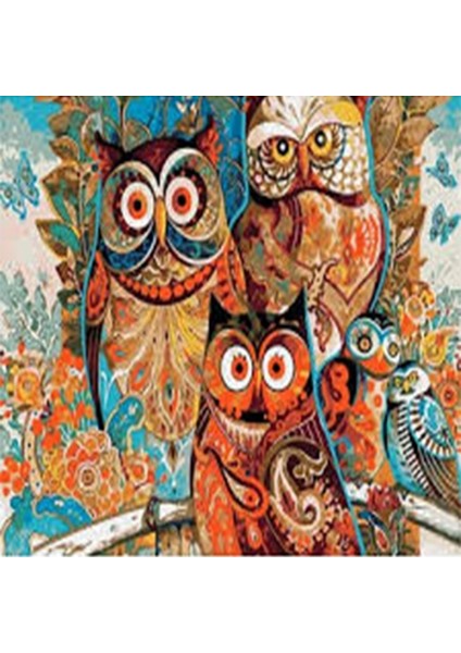 Canvas Renkli Baykuslar Sayılarla Boyama Seti Kasnaklı