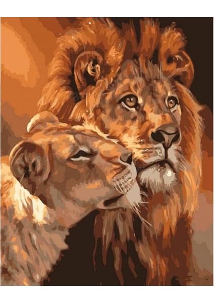 Hobby Aslanların Aşkı Sayılarla Boyama Seti Rulo